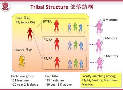 Tribal Structure