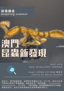 昆蟲新發現